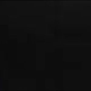 Meet your Posher, Wyatt